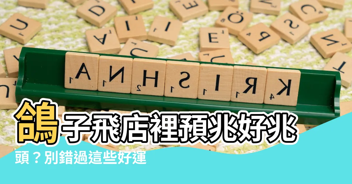 【鴿子飛進店裡】鴿子飛店裡預兆好兆頭？別錯過這些好運徵兆！