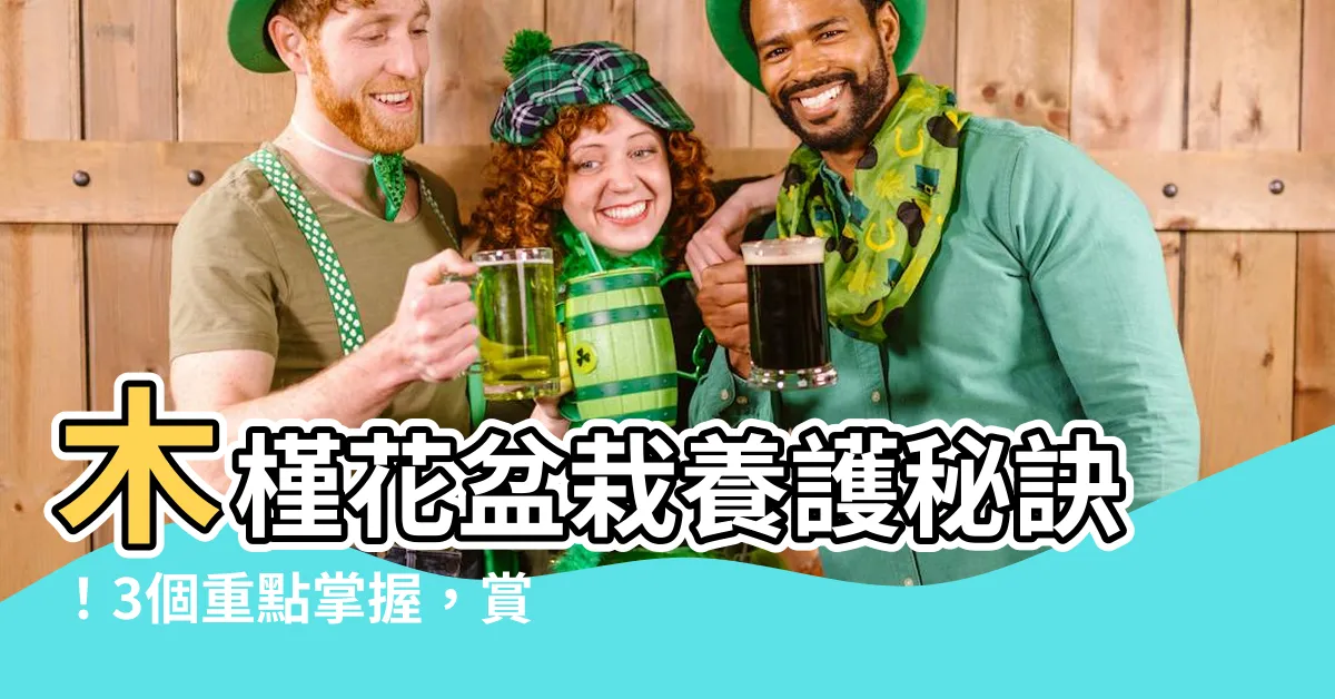 【木槿花盆栽】木槿花盆栽養護秘訣！3個重點掌握，賞花又嘗果