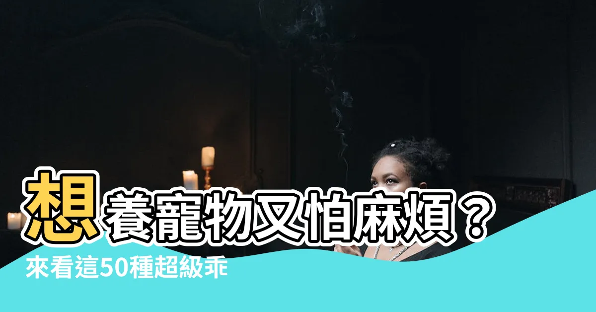 【什麼動物可以養】想養寵物又怕麻煩？來看這50種超級乖巧的寵物吧！