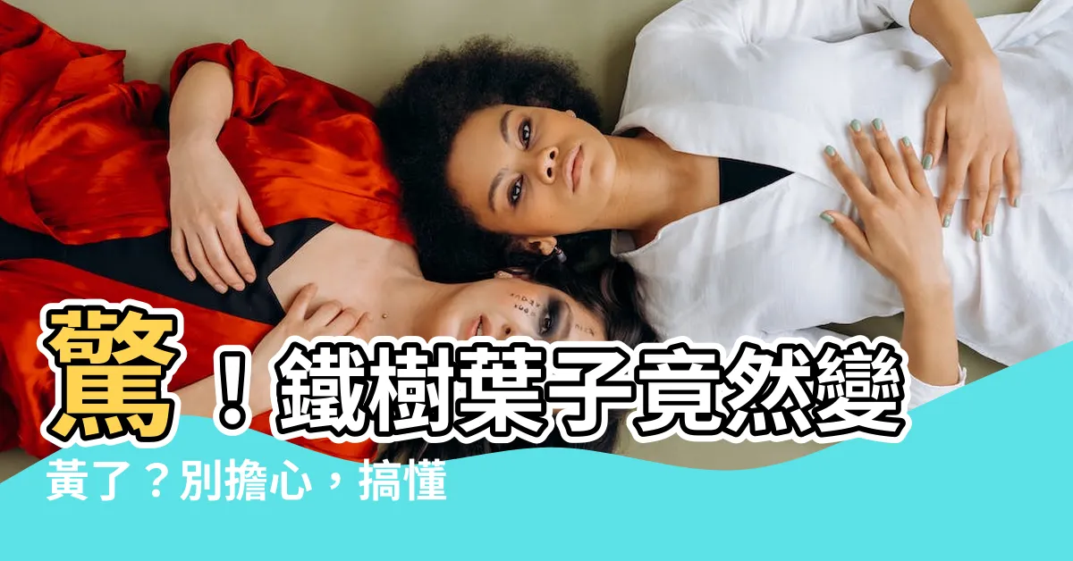 【鐵樹變黃】驚！鐵樹葉子竟然變黃了？別擔心，搞懂原因就能輕鬆挽救！