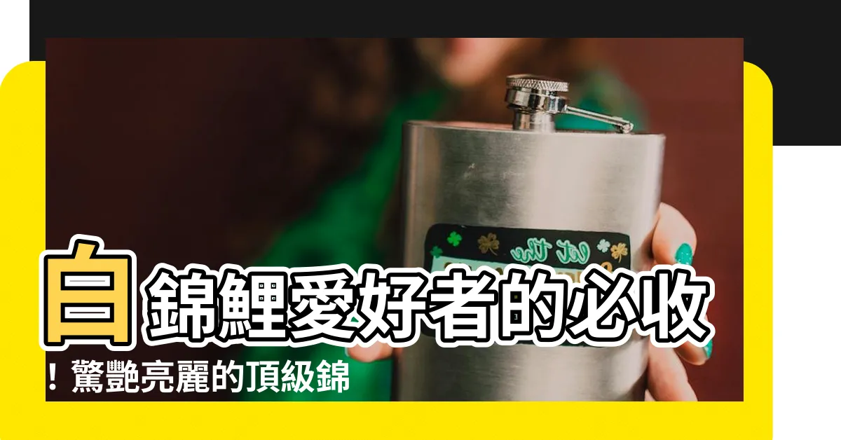 【白錦鯉】白錦鯉愛好者的必收！驚艷亮麗的頂級錦鯉圖片集錦