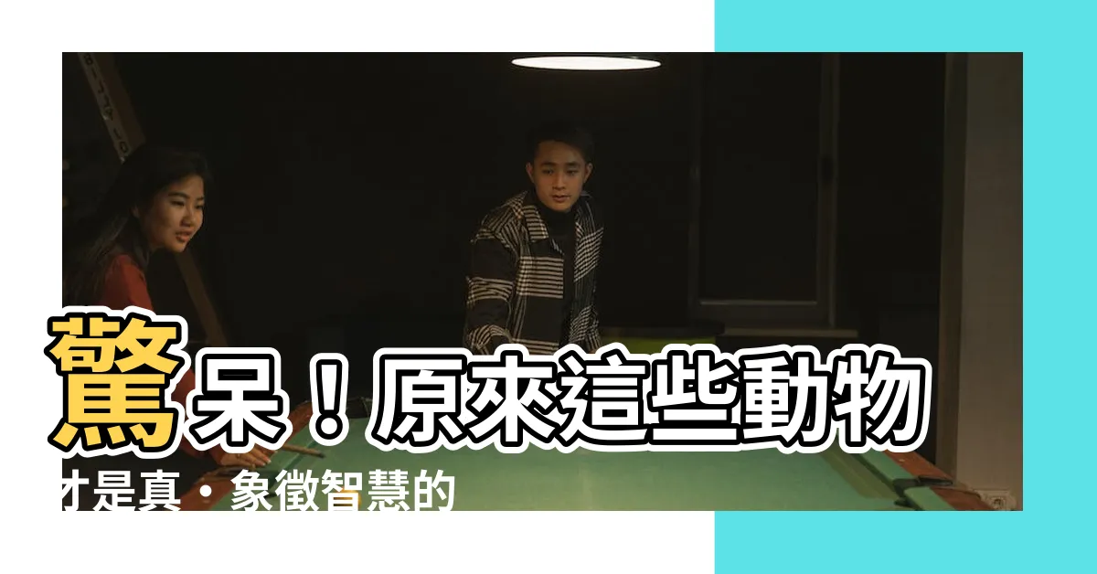 【象徵智慧的動物】驚呆！原來這些動物才是真·象徵智慧的王者！