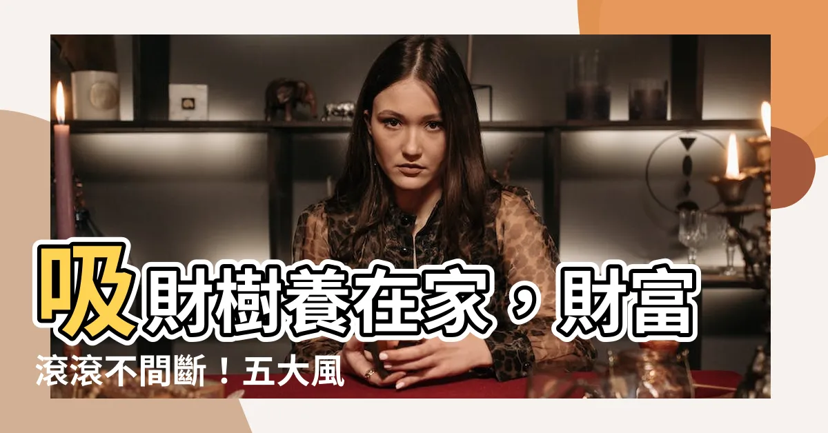 【吸財樹風水】吸財樹養在家，財富滾滾不間斷！五大風水秘訣報你知