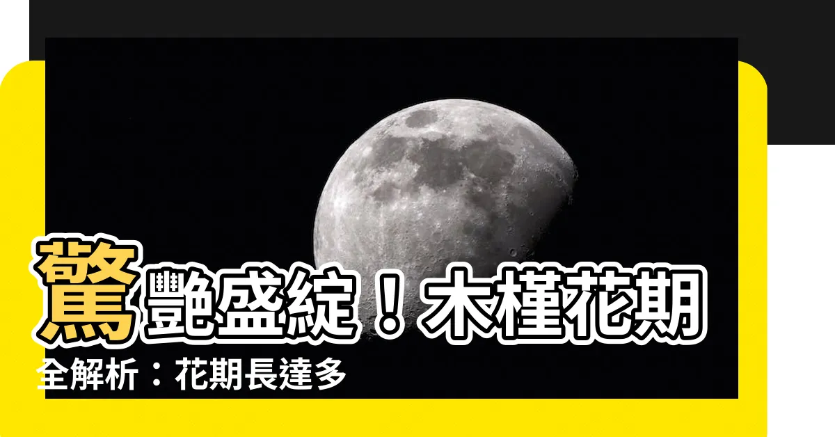 【木槿 花期】驚艷盛綻！木槿花期全解析：花期長達多久，凋謝時機大公開