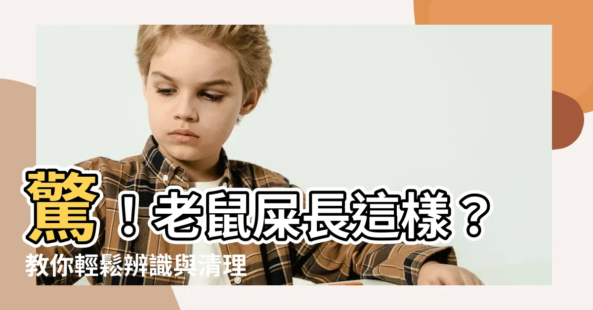 【老鼠屎長怎樣】驚！老鼠屎長這樣？教你輕鬆辨識與清理，保健康！