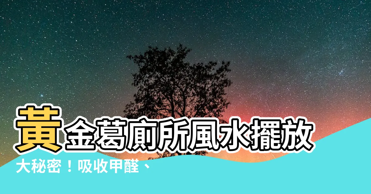 【黃金葛廁所風水】黃金葛廁所風水擺放大秘密!吸收甲醛、化煞招運,擺錯恐惹官非