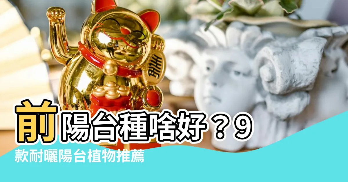 【前陽台適合種什麼植物】前陽台種啥好？9 款耐曬陽台植物推薦，打造陽光滿載的小小綠洲