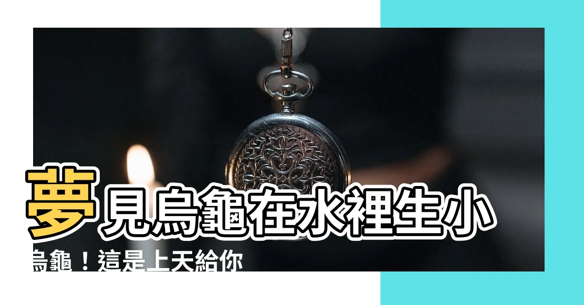 【夢見烏龜是幾號】夢見烏龜在水裡生小烏龜！這是上天給你的幸運號碼提示！