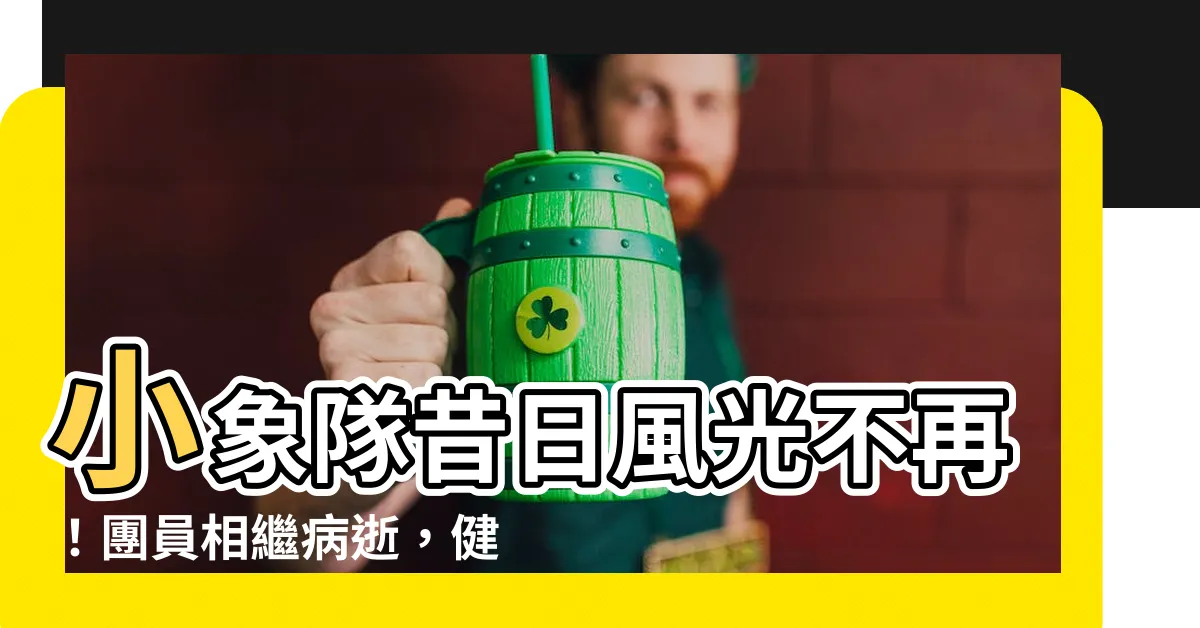【小象隊】小象隊昔日風光不再！團員相繼病逝，健康警訊不容忽視