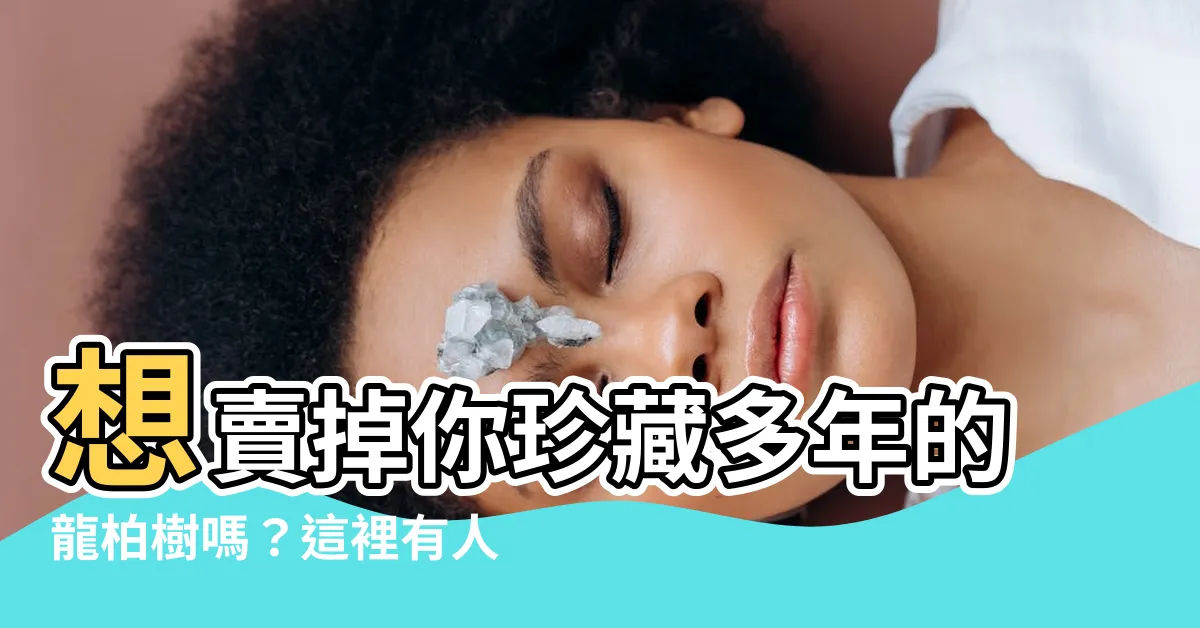 【有人收購龍柏樹嗎】想賣掉你珍藏多年的龍柏樹嗎？這裡有人收購！