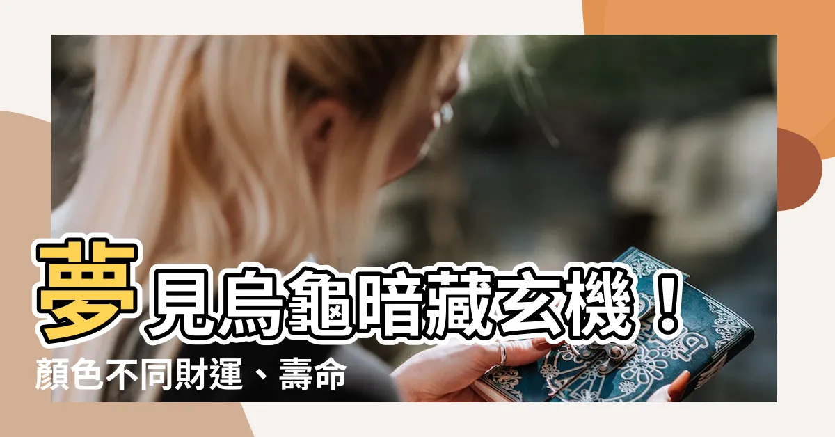 【夢到烏龜是什麼意思】夢見烏龜暗藏玄機！顏色不同財運、壽命大不同