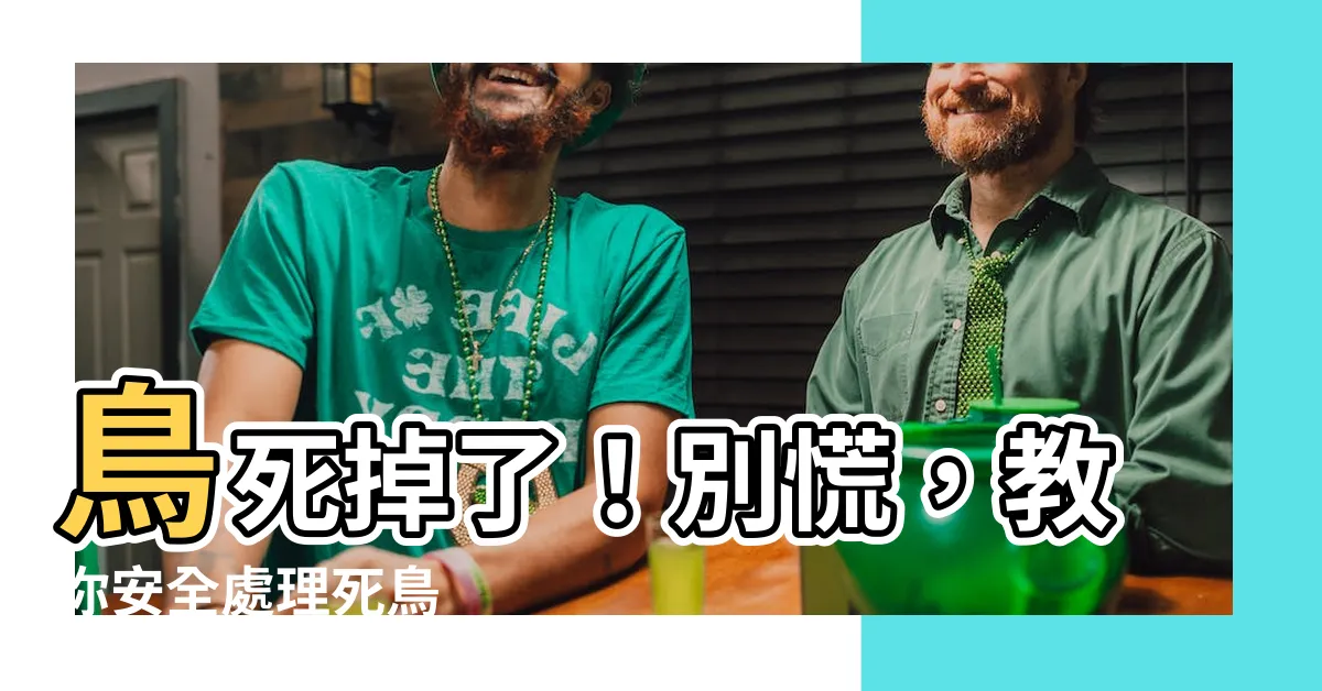 【鳥死掉怎麼處理】鳥死掉了！別慌，教你安全處理死鳥