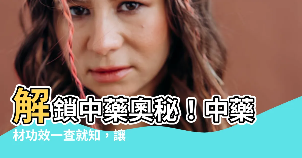 【中藥材功效查詢】解鎖中藥奧秘！中藥材功效一查就知，讓您輕鬆養生