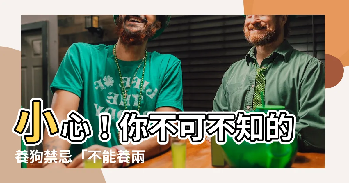 【不能養兩隻狗】小心！你不可不知的養狗禁忌「不能養兩隻狗」！