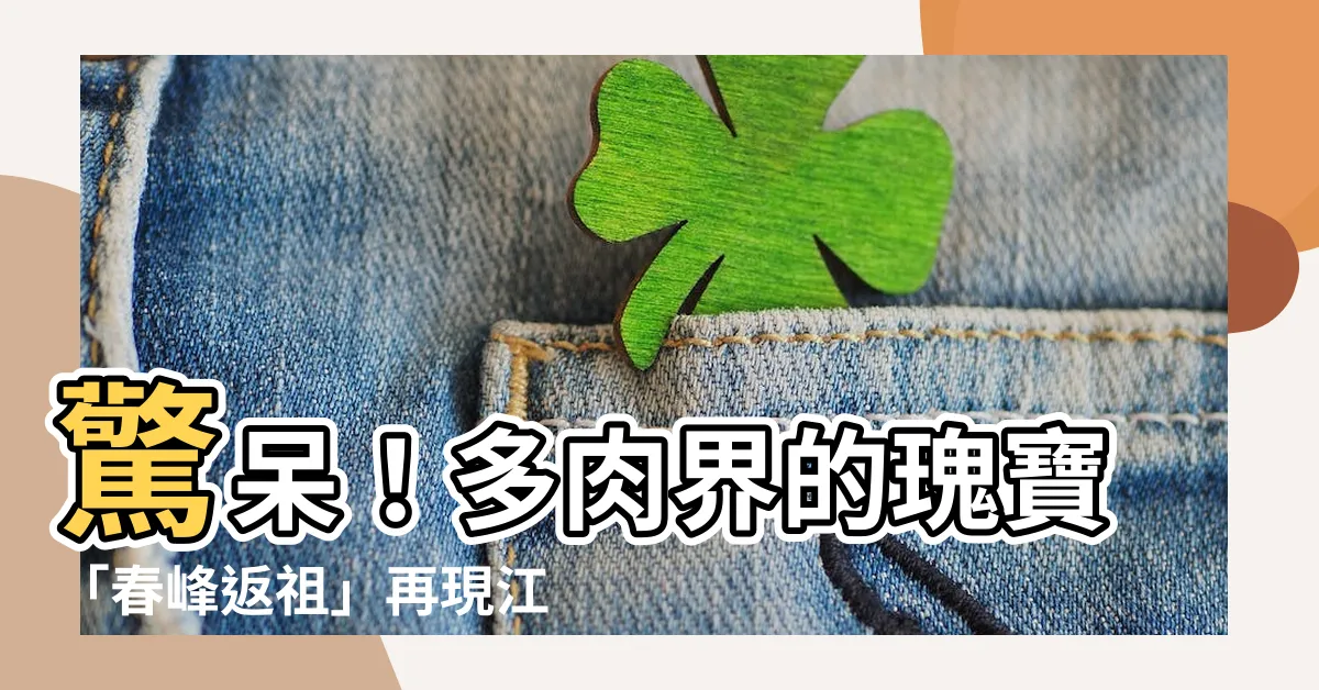 【春峯返祖】驚呆！多肉界的瑰寶「春峯返祖」再現江湖！