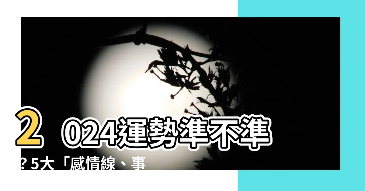 【看手相準嗎】2024運勢準不準？5大「感情線、事業線」看你一生命運！
