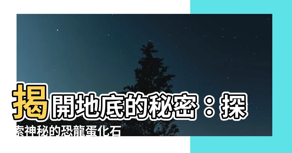 【恐龍蛋化石】揭開地底的秘密：探索神秘的恐龍蛋化石