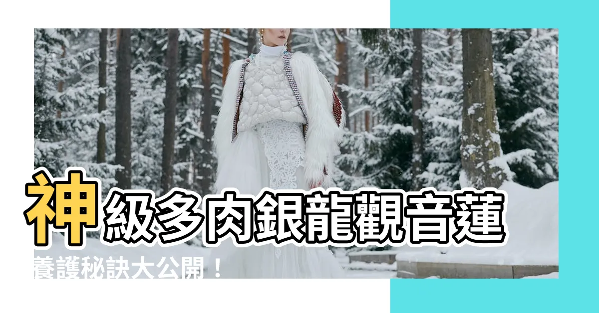 【銀龍觀音蓮】神級多肉銀龍觀音蓮 養護秘訣大公開！
