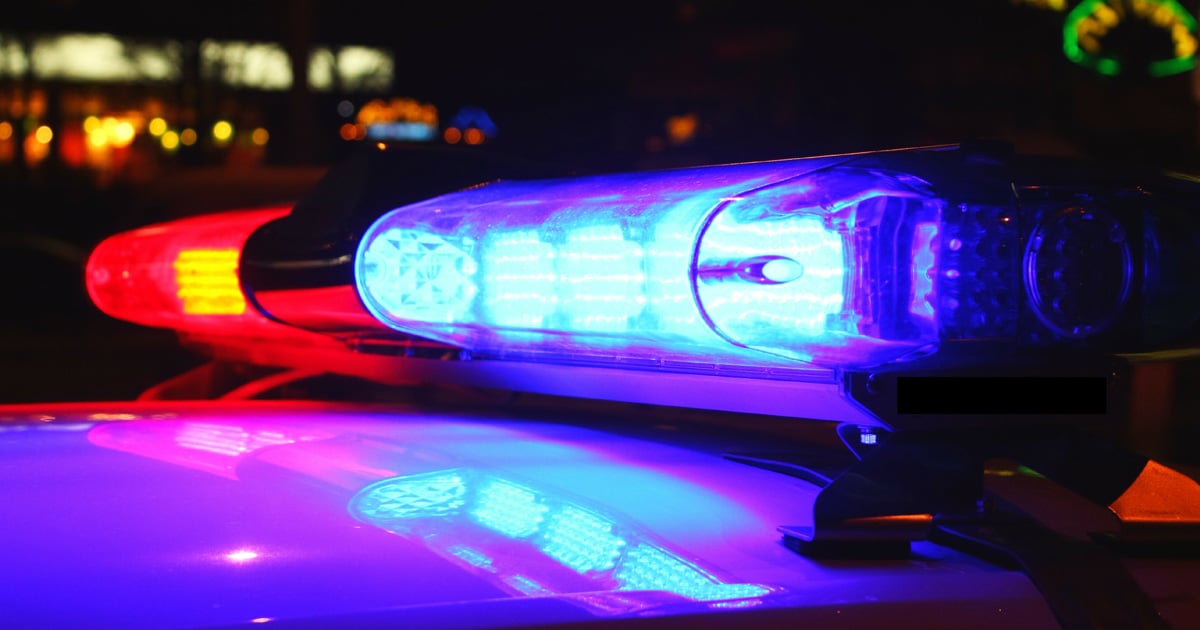 chicago-park-robbery-attempt-leads-to-shooting-as-victim-tries-to-disarm-suspect