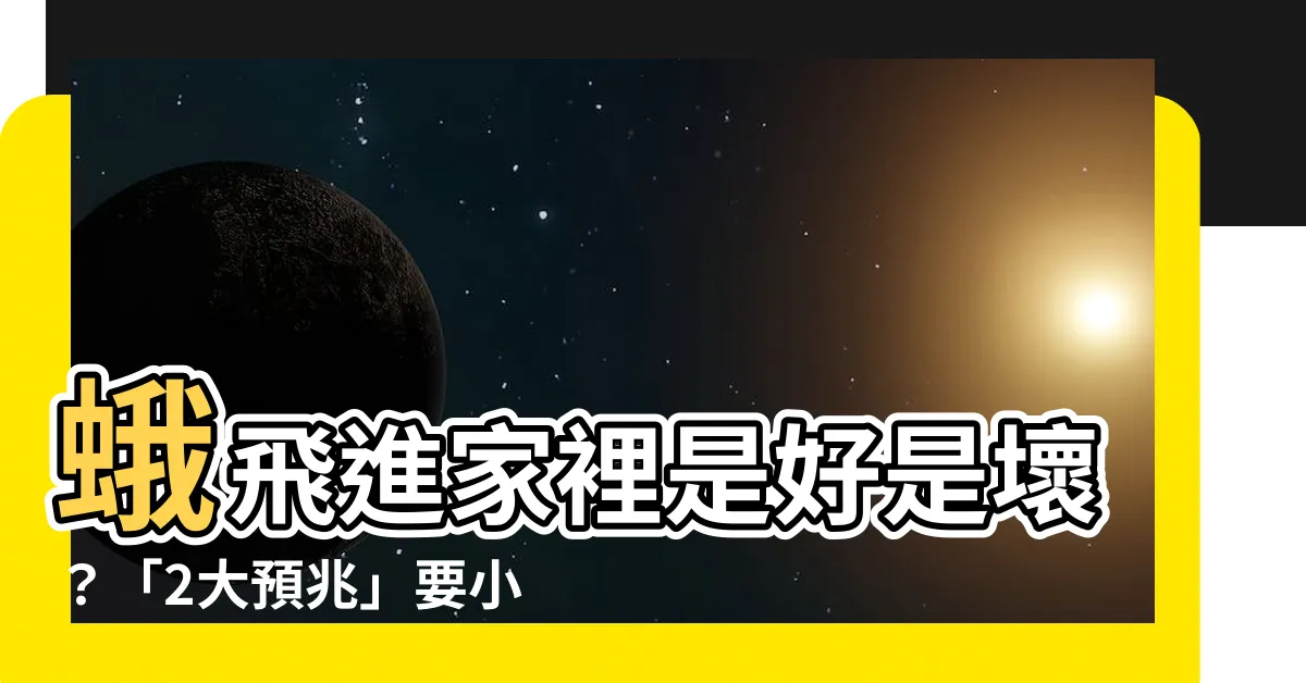 【蛾飛進家裡】蛾飛進家裡是好是壞？「2大預兆」要小心！