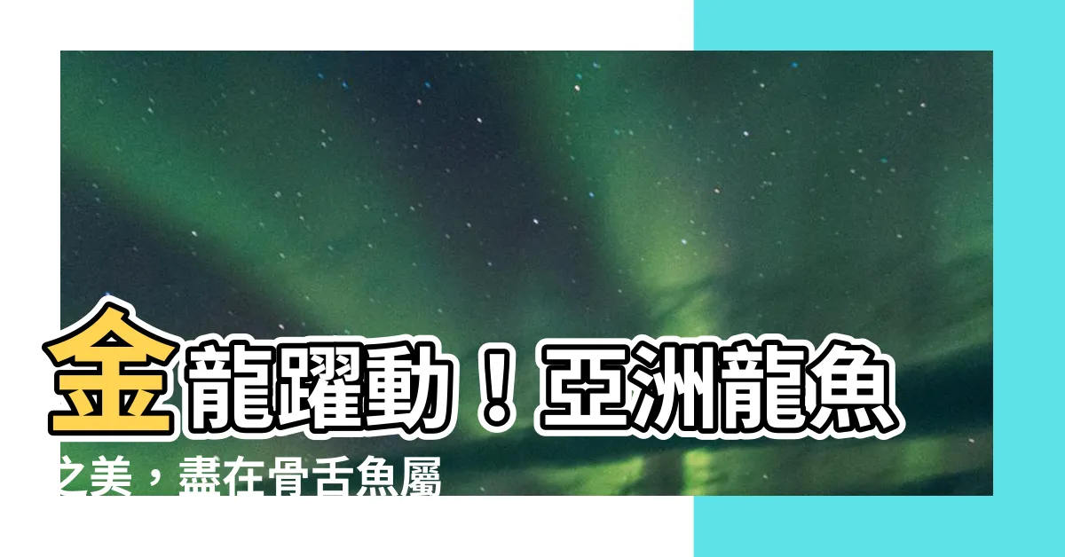 【金龍魚屬】金龍躍動！亞洲龍魚之美，盡在骨舌魚屬！