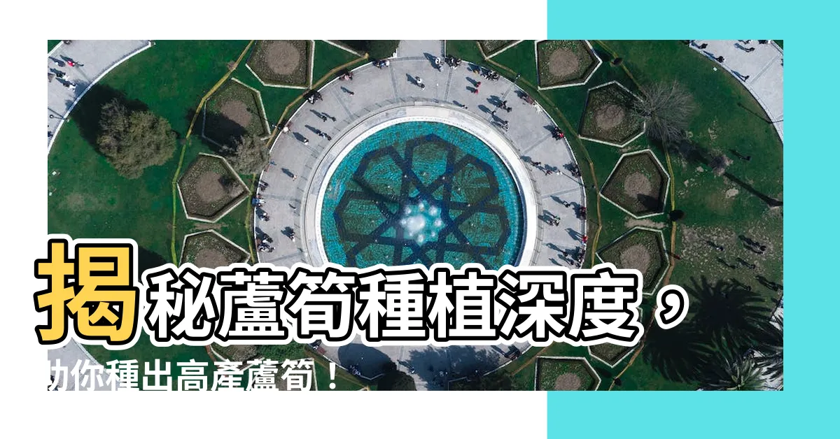 【蘆筍種植深度】揭秘蘆筍種植深度，助你種出高產蘆筍！