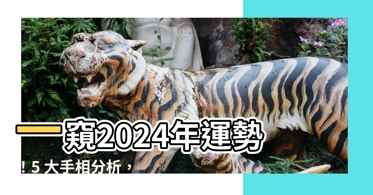 【運勢種類】一窺2024年運勢！5 大手相分析，掌握你的命運軌跡！