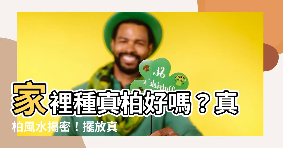 【家裡種真柏】家裡種真柏好嗎?真柏風水揭密!擺放真柏業績大發?