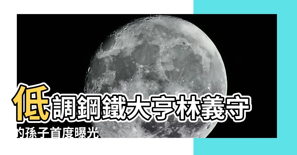 【林義守孫子】低調鋼鐵大亨林義守的孫子首度曝光