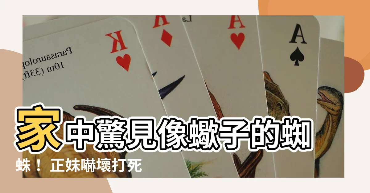 【像蠍子的蜘蛛】家中驚見像蠍子的蜘蛛！ 正妹嚇壞打死牠 一查價格超高 後悔了