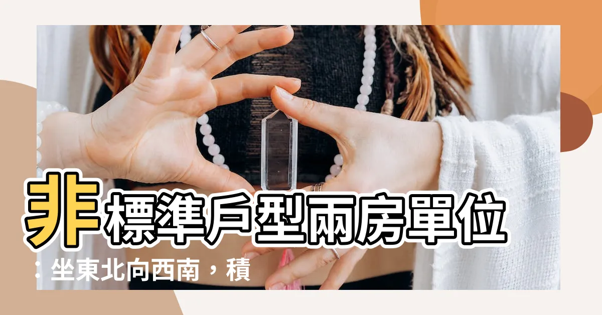 【向東北樓風水】非標準户型兩房單位：坐東北向西南，積「衰氣」易破財？