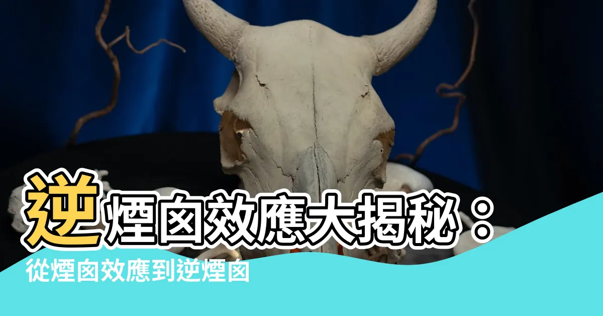 【逆煙囱效應】逆煙囱效應大揭秘：從煙囱效應到逆煙囱效應，一文帶你瞭解！