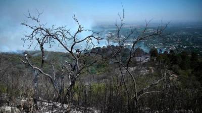 rich-nations-met-$100b-climate-finance-goal-two-years-late:-oecd