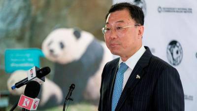china-to-send-two-young-giant-pandas-to-the-us-later-this-year