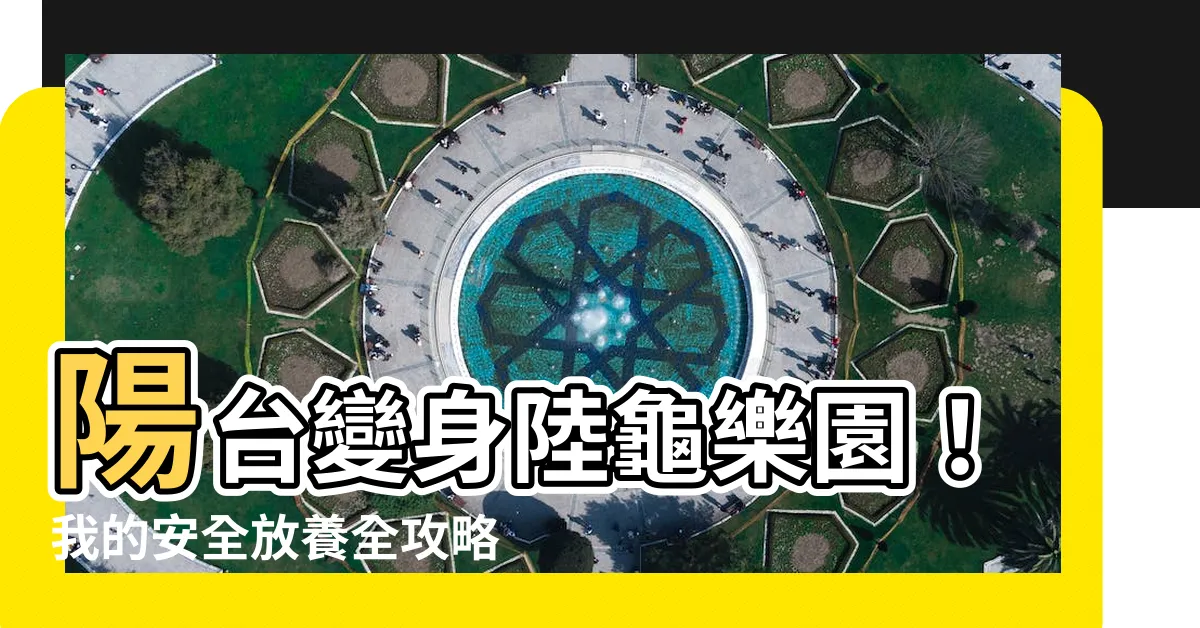 【陸龜養陽台】陽台變身陸龜樂園！我的安全放養全攻略