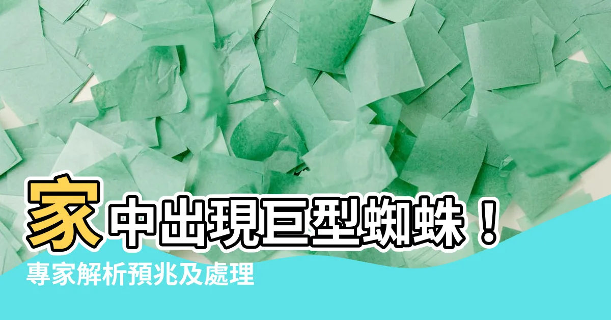 【家裡 大蜘蛛】家中出現巨型蜘蛛！專家解析預兆及處理方法