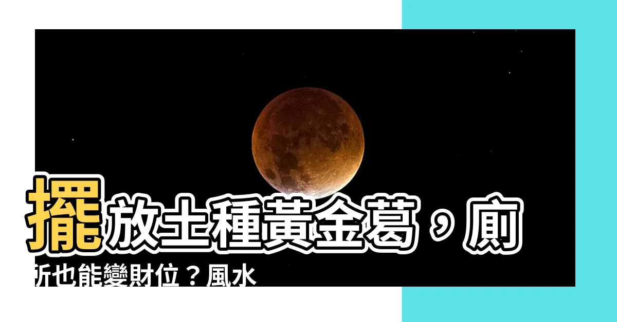 【土種黃金葛】擺放土種黃金葛，廁所也能變財位？風水老師教你擺脱官司纏身！