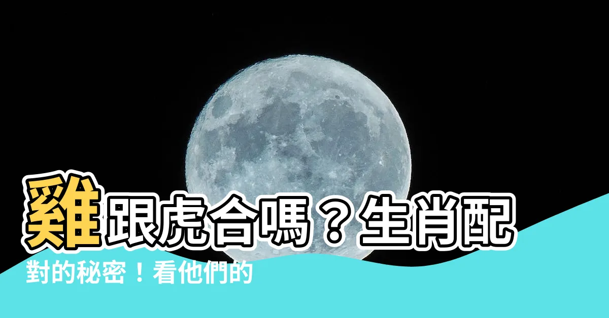 【雞跟虎合嗎】雞跟虎合嗎？生肖配對的秘密！看他們的三個重要關聯性！
