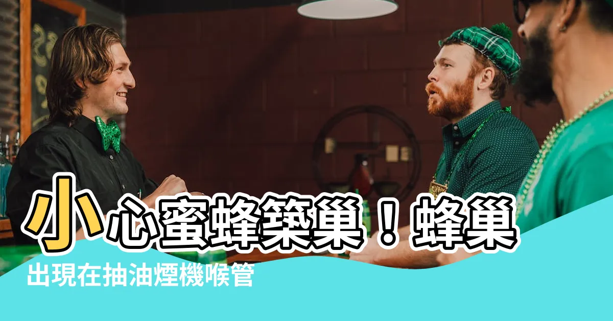 【蜜蜂起巢】小心蜜蜂築巢！蜂巢出現在抽油煙機喉管怎麼辦？3步驟輕鬆解決！