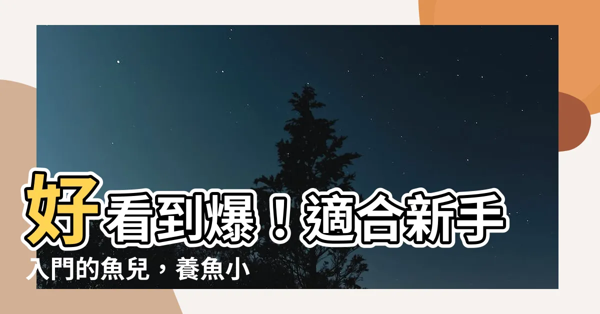 【好看又好養的魚】好看到爆!適合新手入門的魚兒,養魚小白必備清單