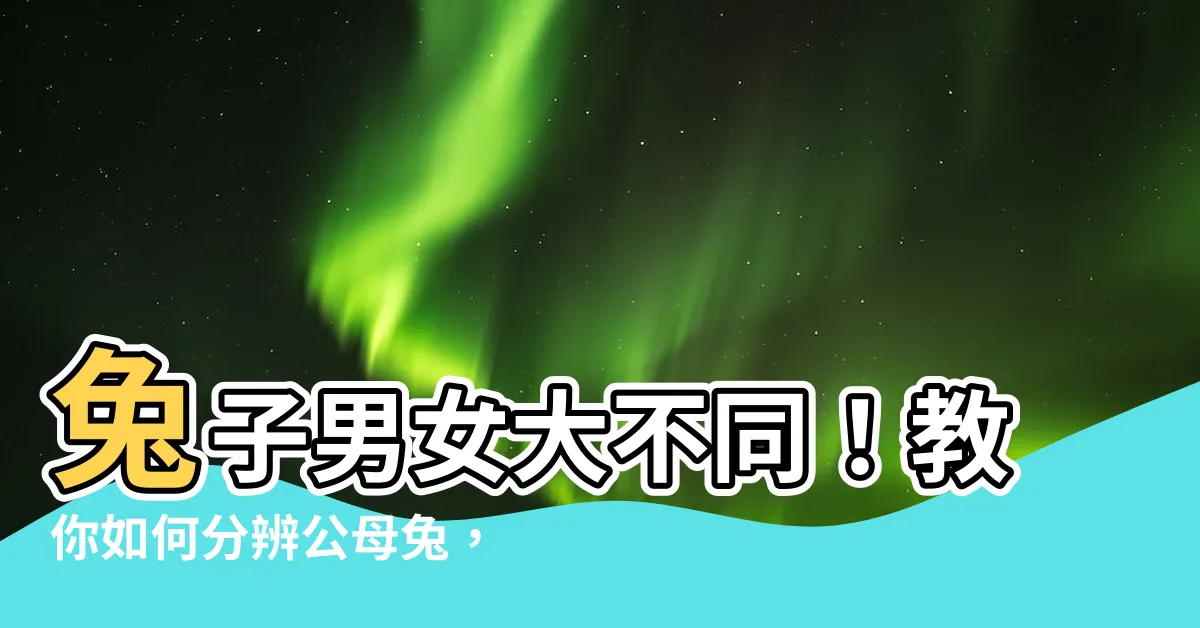 【兔子男女】兔子男女大不同！教你如何分辨公母兔，輕鬆掌握兔兔性別！
