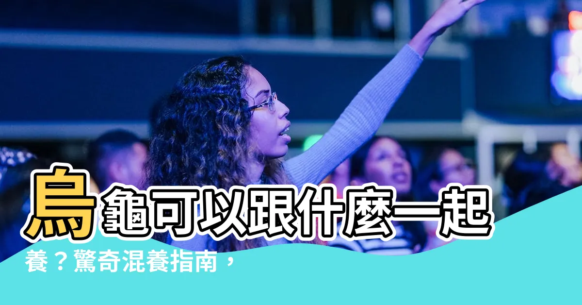 【烏龜可以跟什麼一起養】烏龜可以跟什麼一起養？驚奇混養指南，讓你的龜缸生機盎然！