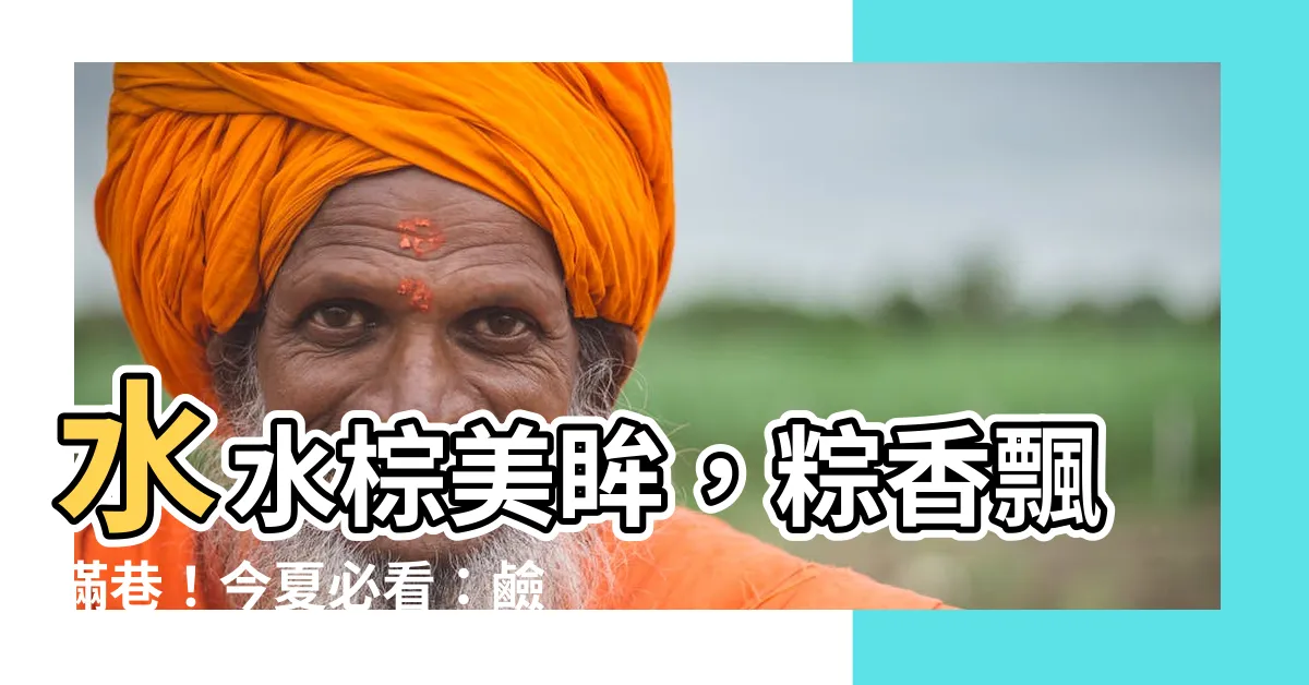 【水水棕】水水棕美眸，粽香飄滿巷！今夏必看：鹼水粽的完美配方