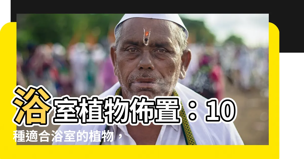 【浴室植物佈置】浴室植物佈置：10種適合浴室的植物，讓你的浴室充滿生機！
