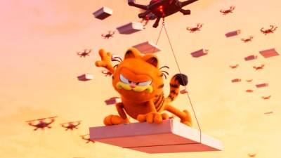 feline-adventure