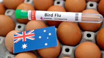 first-human-case-of-h5n2-bird-flu-died-from-multiple-factors:-who