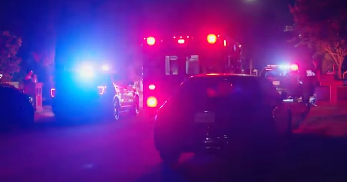 homeowner-holds-suspect-at-gunpoint-after-firing-warning-shot-in-air-during-burglary-incident