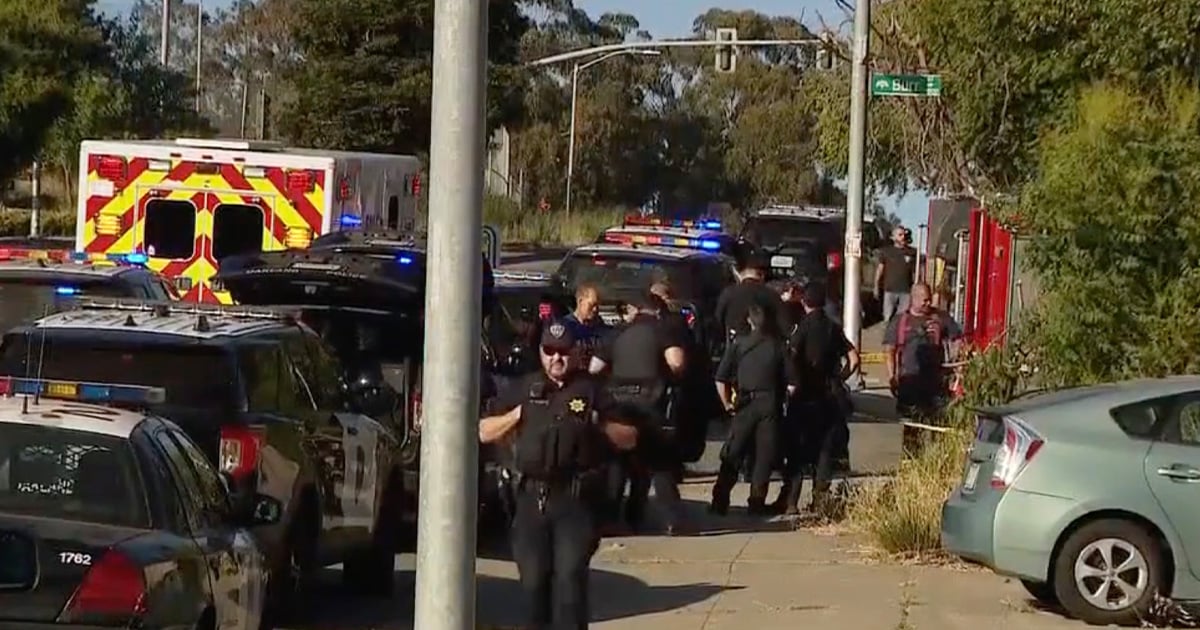 oakland-homeowner-arrested-after-shooting-robbery-suspect-with-stolen-colt-python