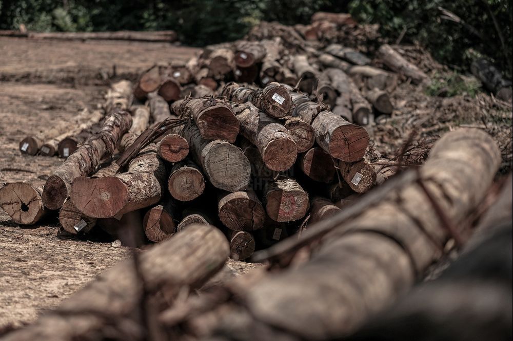 full-scale-mining-for-minerals-will-damage-sarawak's-ecosystem,-say-environmentalists