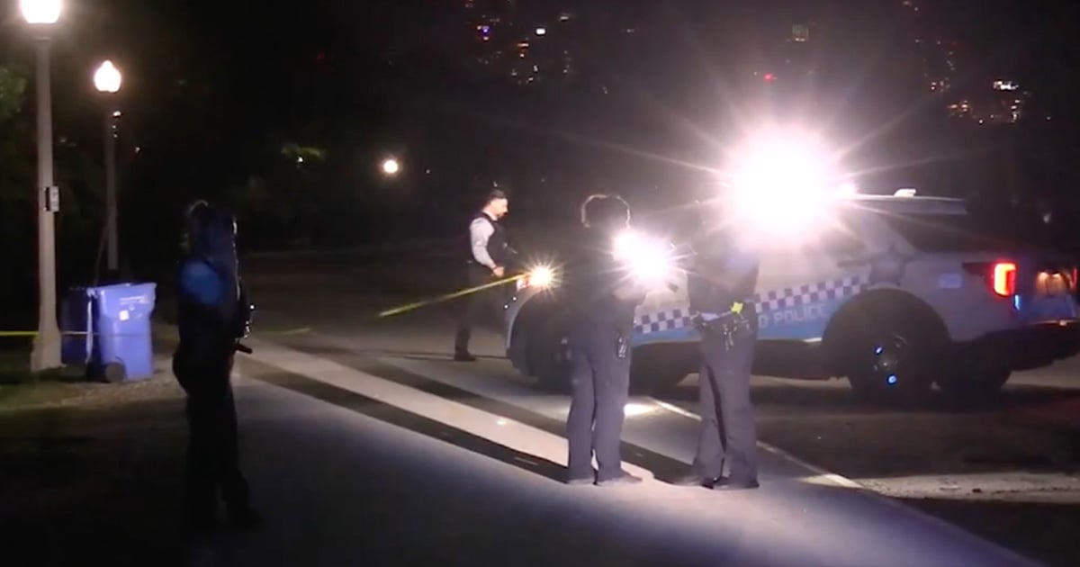 concealed-carry-holder-shoots-17-year-old-girl-after-being-stabbed-during-argument-in-chicago